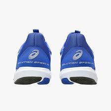 Zapatilla Asics Solution Speed FF 3 Clay